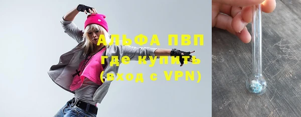 гидра Алексин