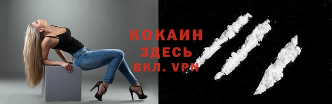 гидра Алексин