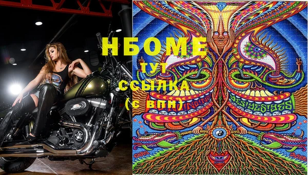 гидра Алексин