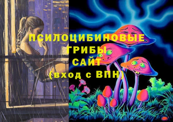 гидра Алексин