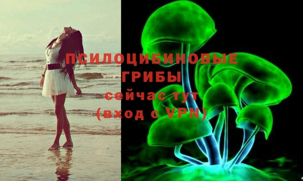 ALPHA PVP Алексеевка