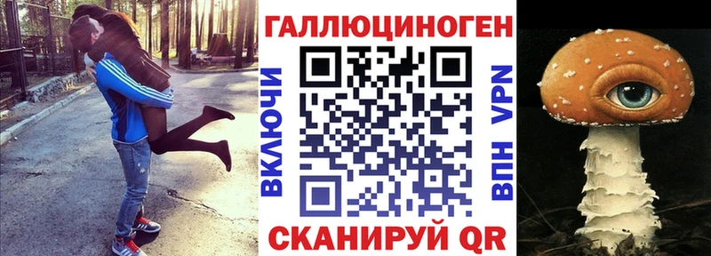 ссылка на мегу tor  купить наркотики цена  Хвалынск  Галлюциногенные грибы мухоморы 